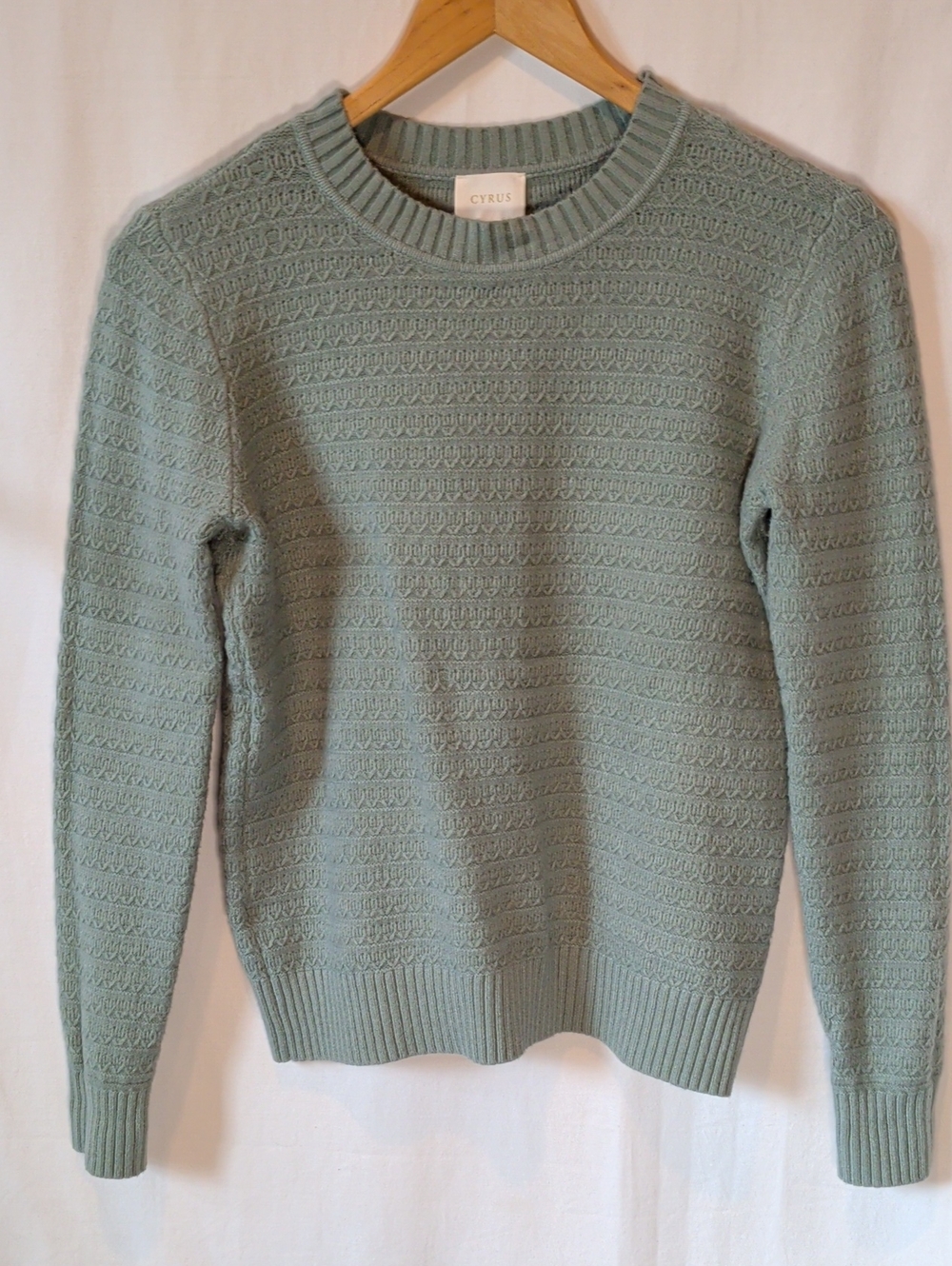 Cyrus Women's Light Sage Crewneck Knit Sweater
